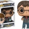 Standard Pop!>Harry Potter - with Prophecy Pop! Vinyl Figure
